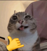 1780238731629.png