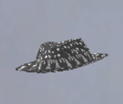 1780808929389.png