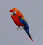 1780809110620.png